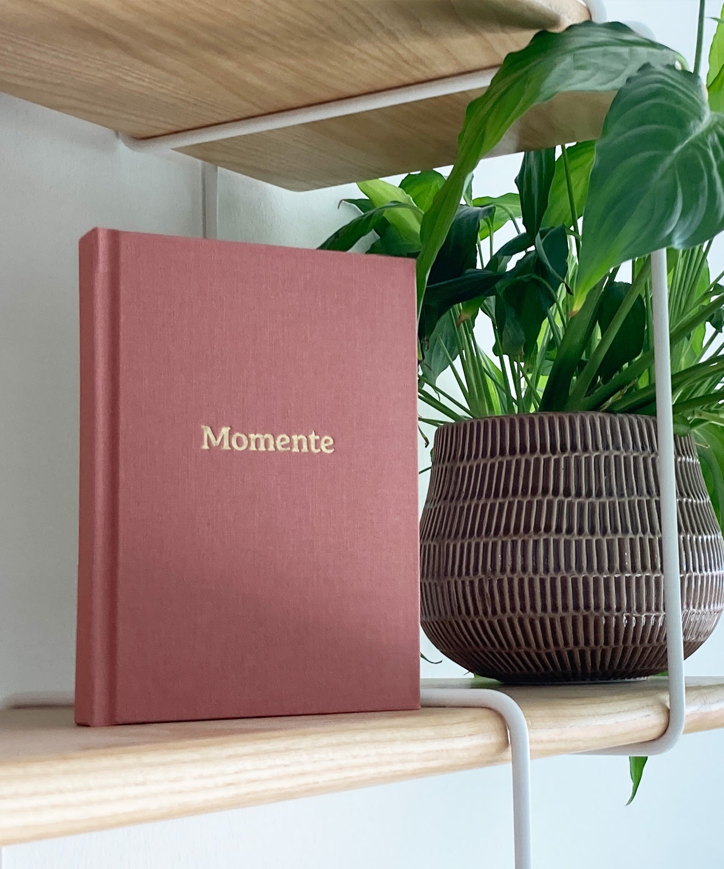 Hochwertiges Momente Erinnerungsbuch  mit Leineneinband und Goldprägung in Regal mit Pflanze, rosa